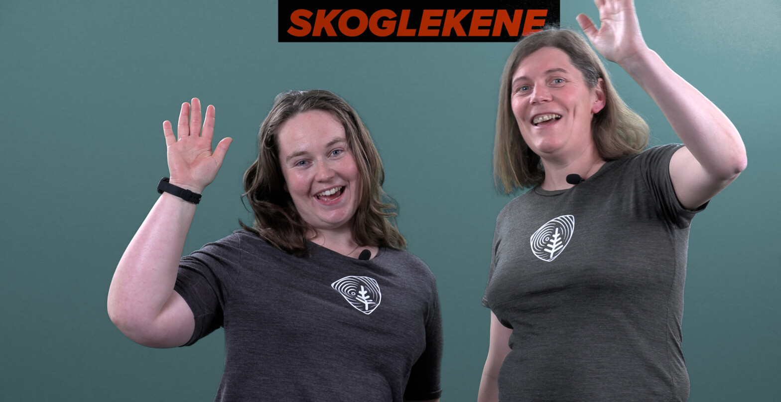 Disse kommer til finalen i&nbsp;Skoglekene