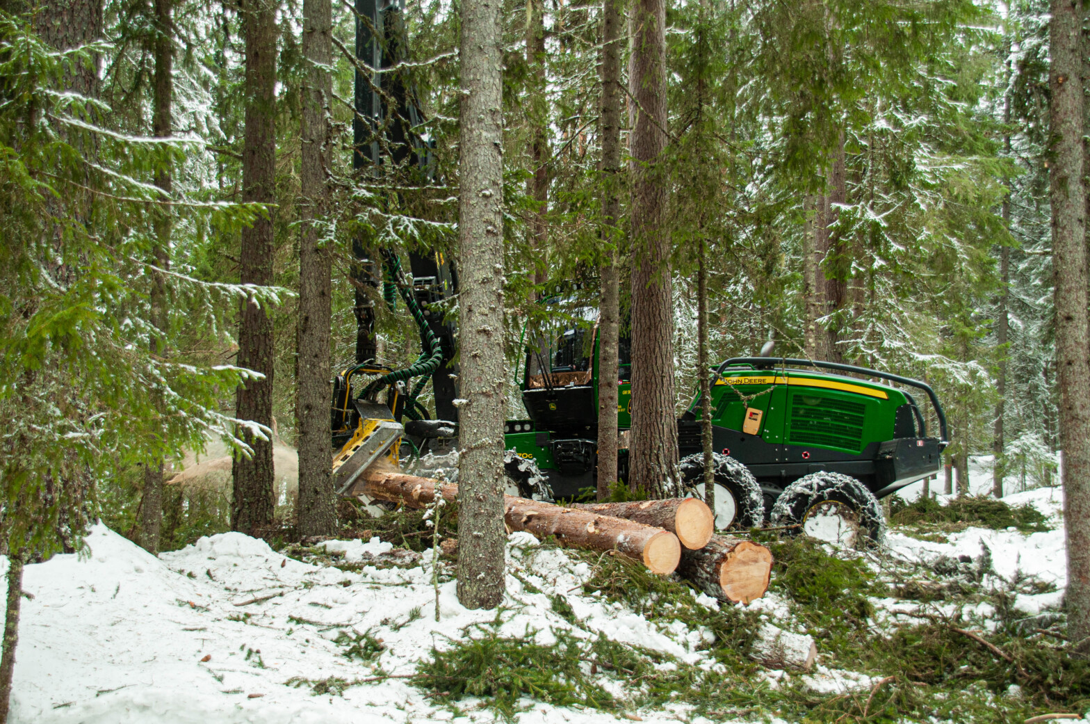 Hogstmaskin i arbeid. Fotograf er Bjørn Einar Rakstang/Skogkurs. Entreprenør er GM Skogsdrift.