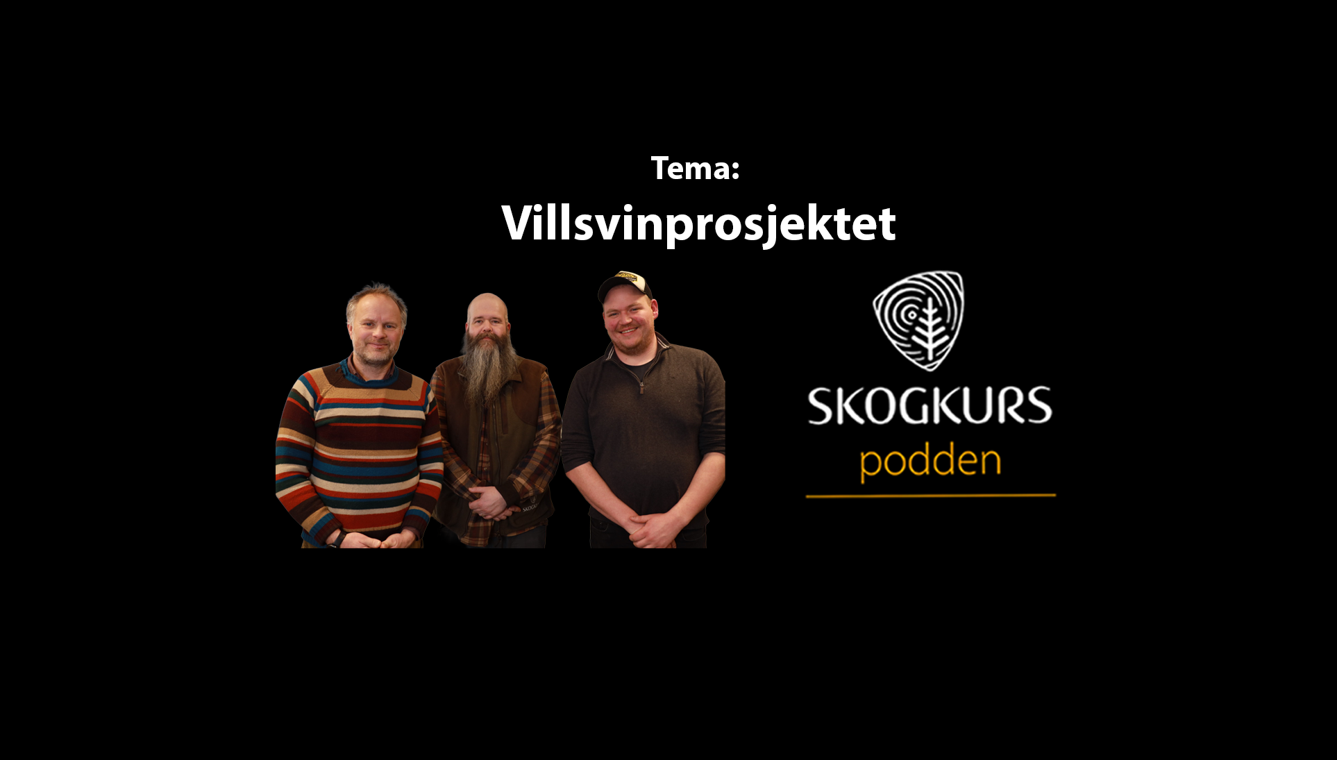Podcast: Bli kjent med Villsvinprosjektet!