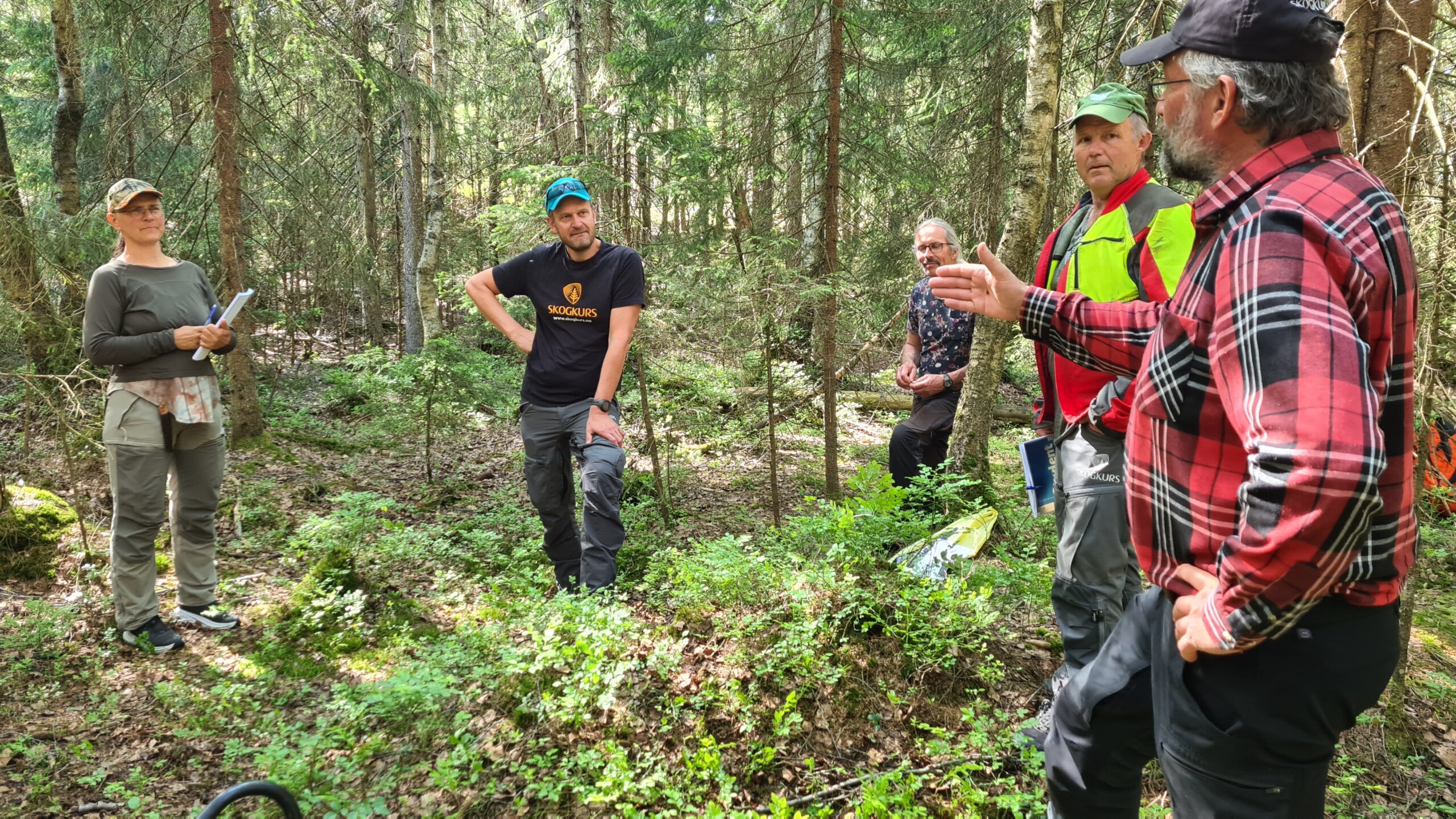 Regiontilpasset kurs i&nbsp;lukket hogst