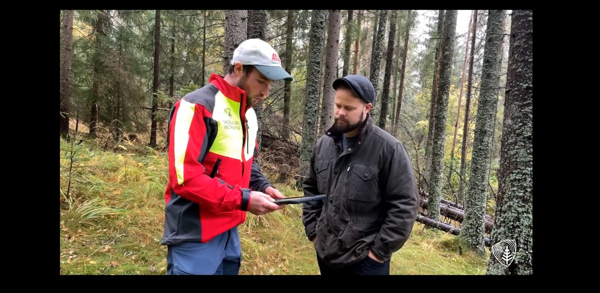 Tips til nye skogeiere