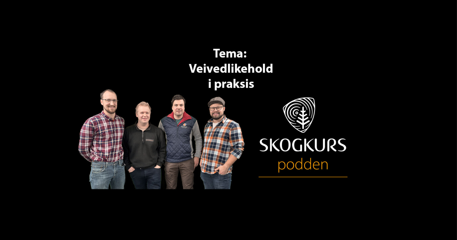 Veivedlikehold i&nbsp;praksis – podcast
