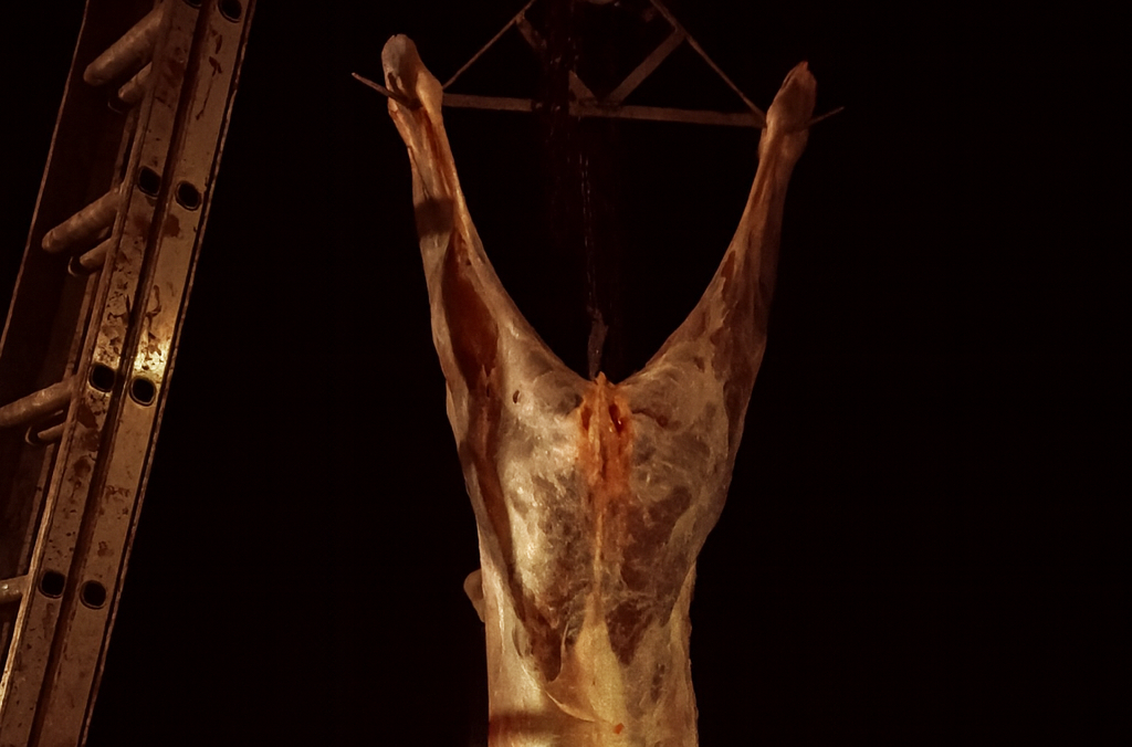 Ulovlig omset­ning av vilt­kjøtt er et stadig økende problem! Kan du reglene?