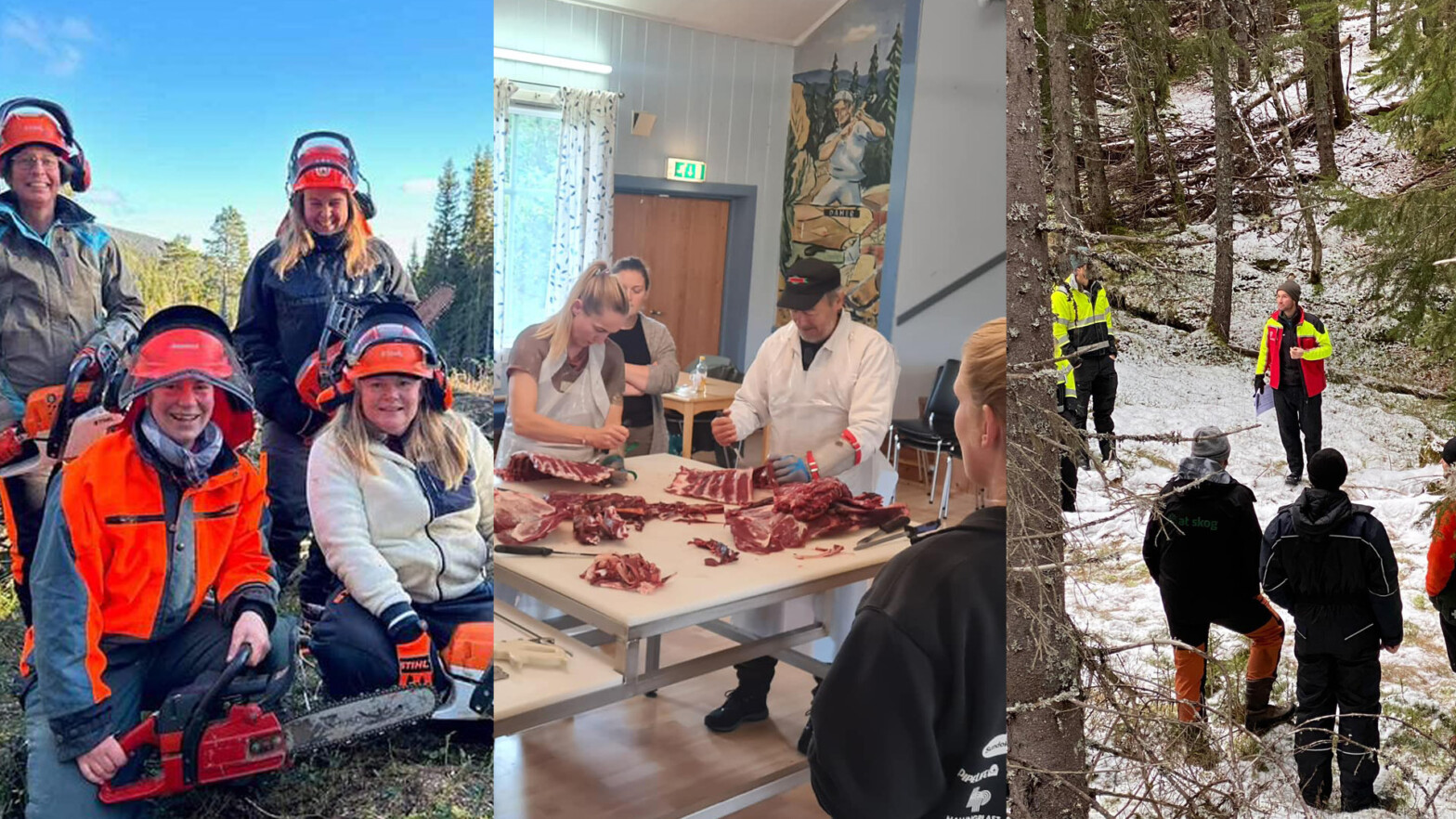 Rekordår med&nbsp;kurs